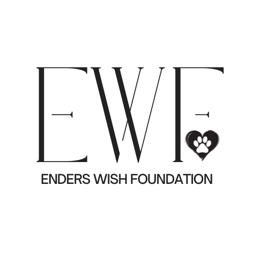 Ender's Wish Foundation